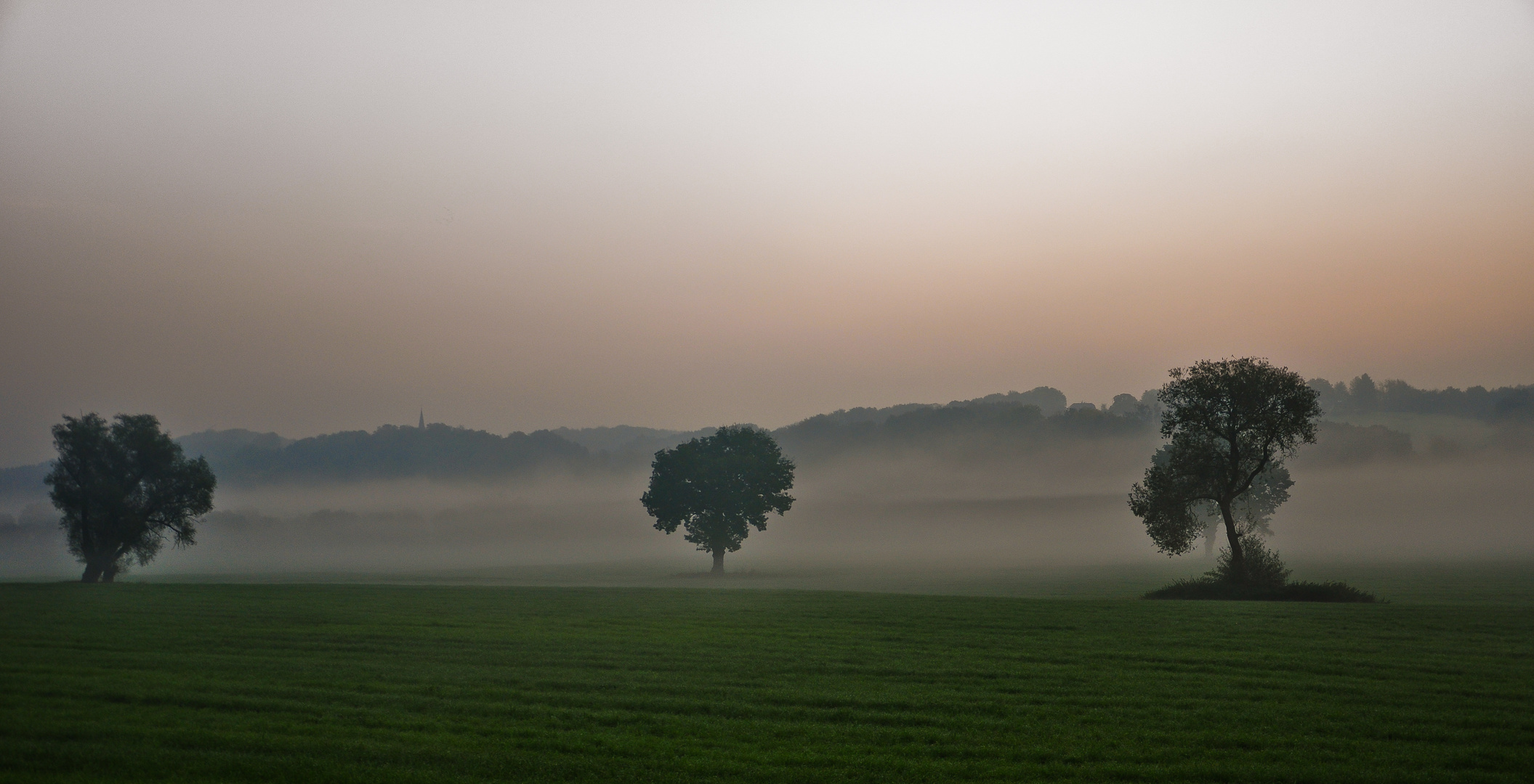 Morgennebel