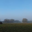 Morgennebel