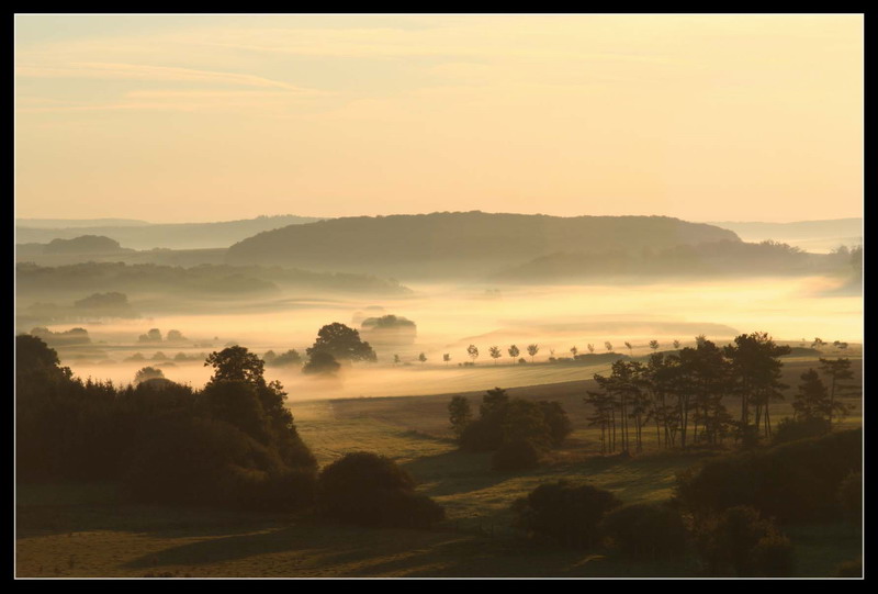 Morgennebel