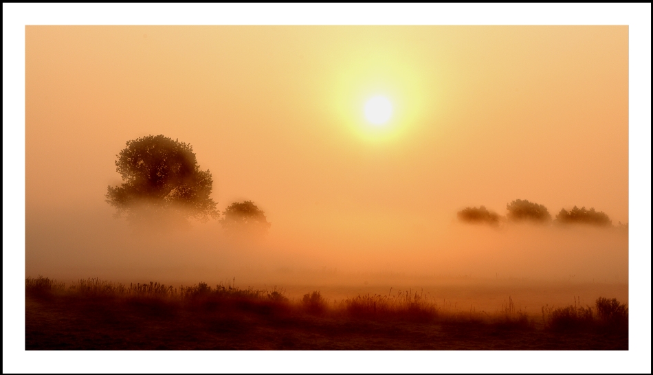 Morgennebel 3