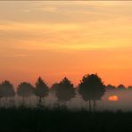 Morgennebel 3