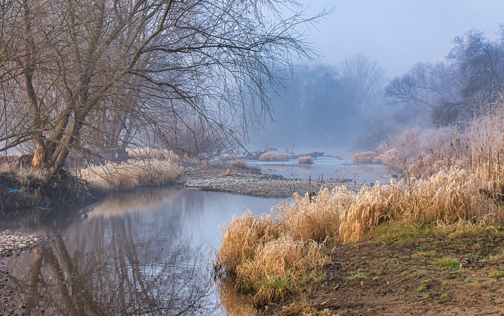 Morgennebel