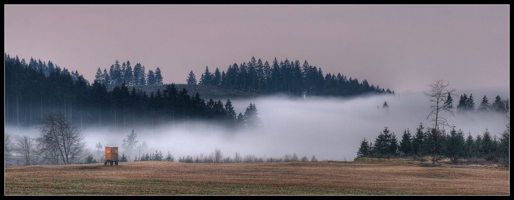 Morgennebel