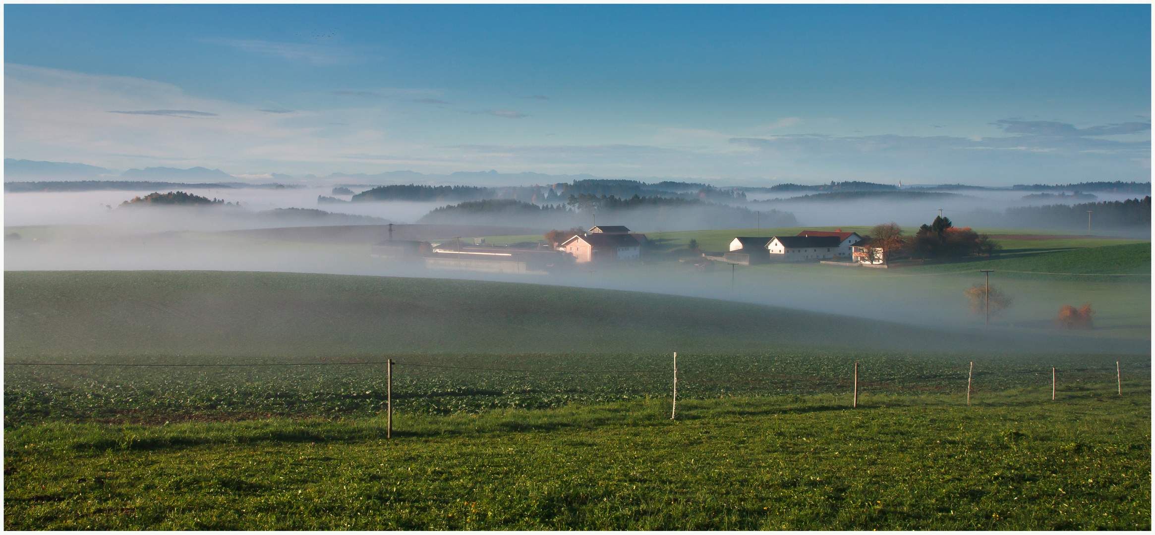 Morgennebel