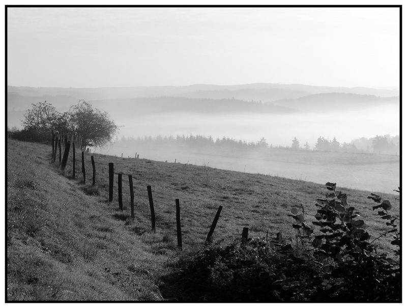 Morgennebel by Kord-Henrich Wolff