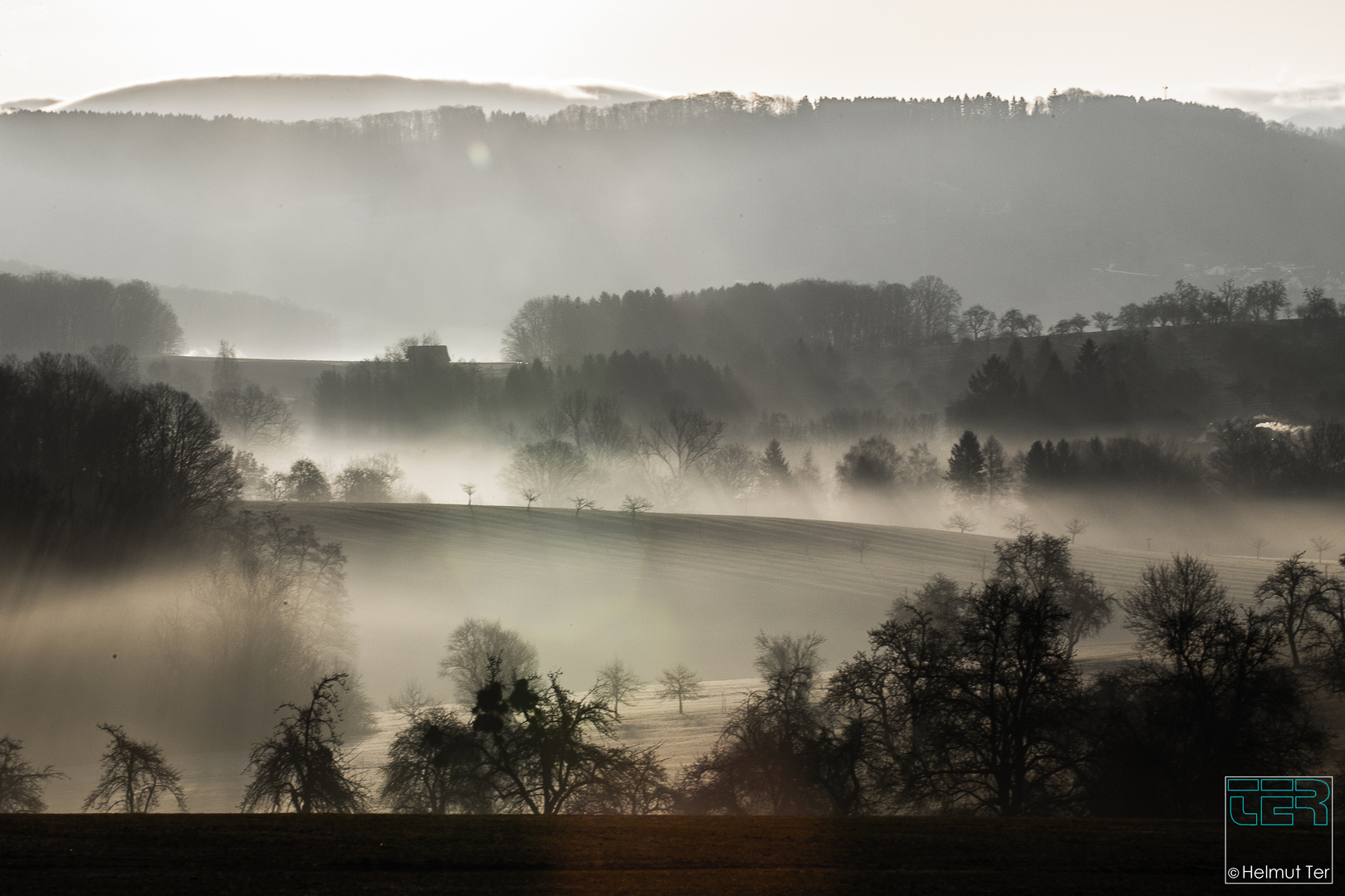 Morgennebel