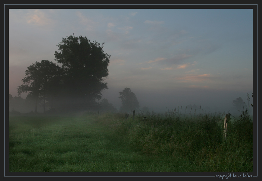 Morgennebel