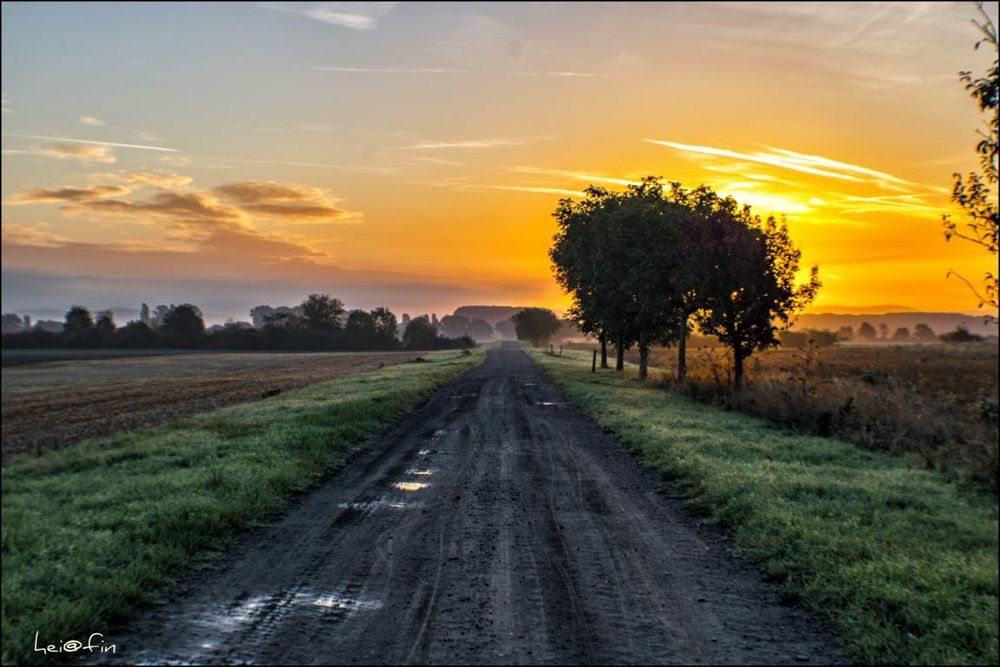 Morgennebel