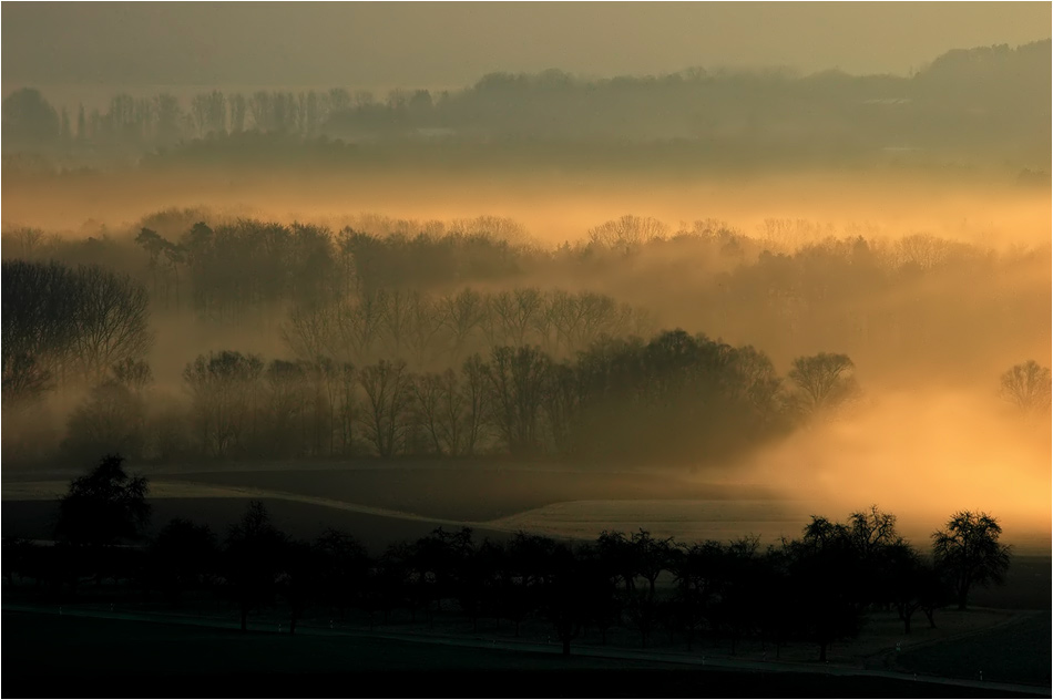 Morgennebel