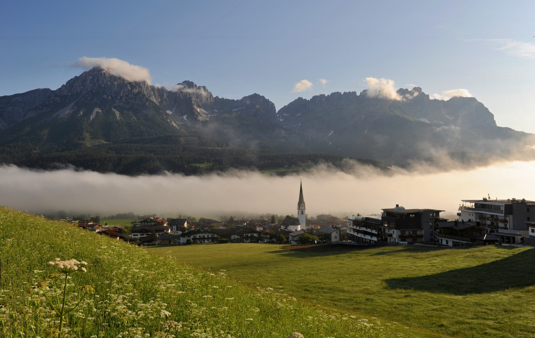 Morgennebel