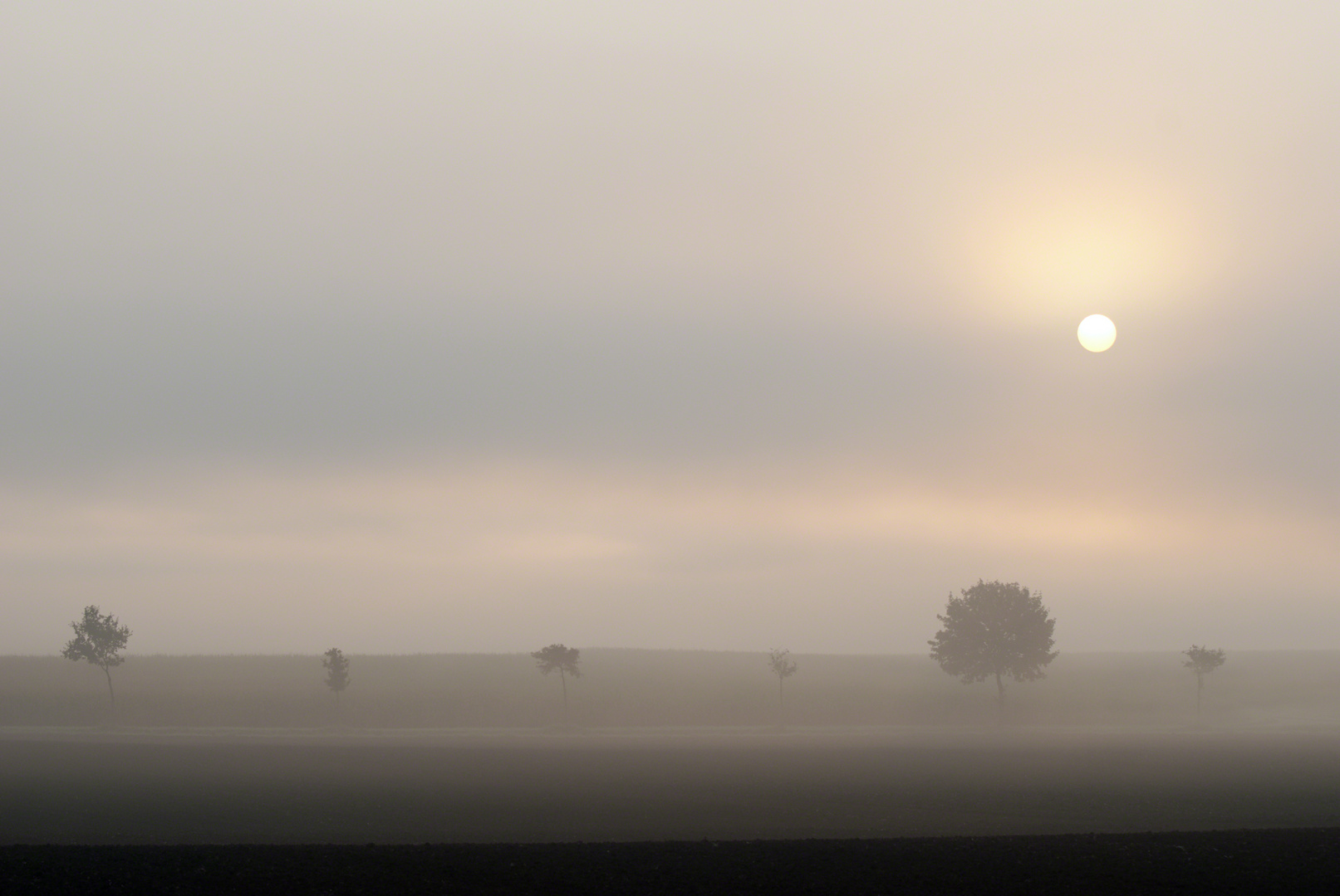 Morgennebel