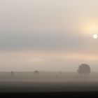 Morgennebel