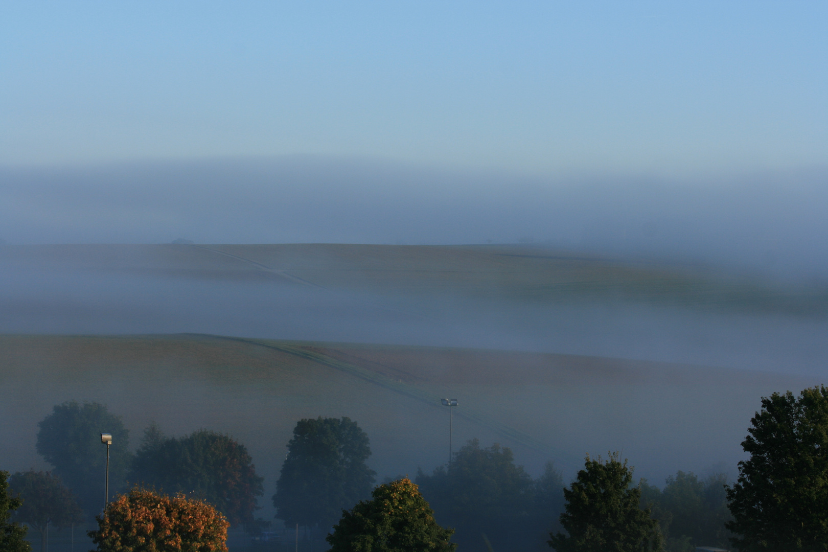 Morgennebel