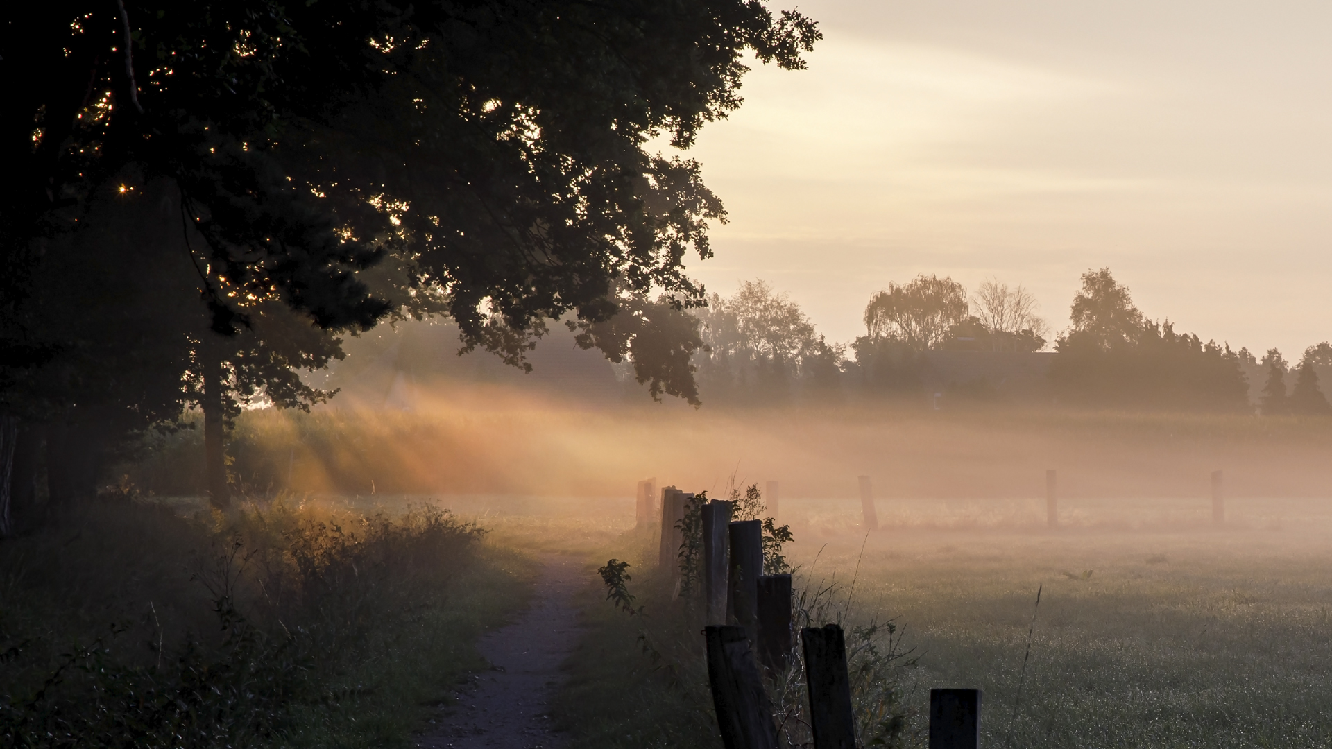 Morgennebel