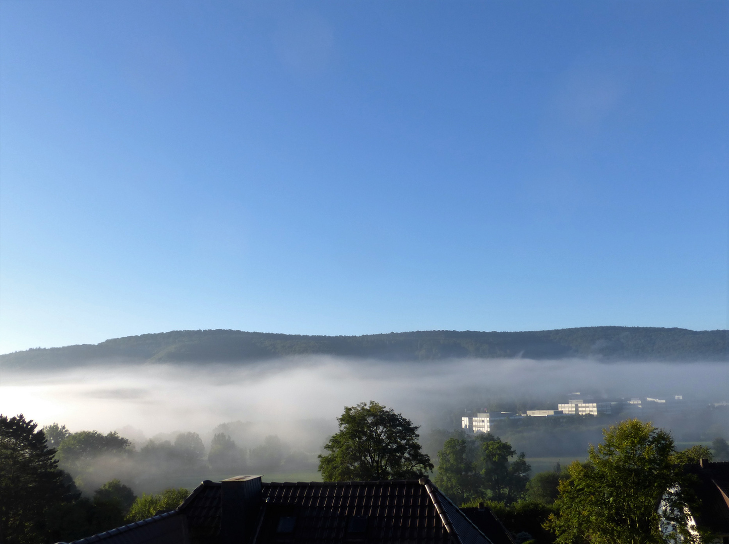 Morgennebel