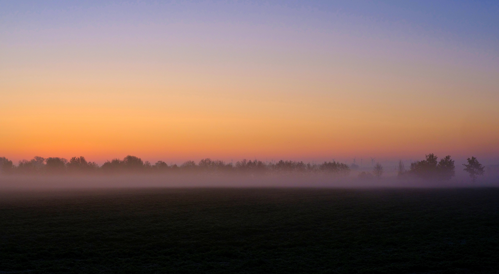 Morgennebel