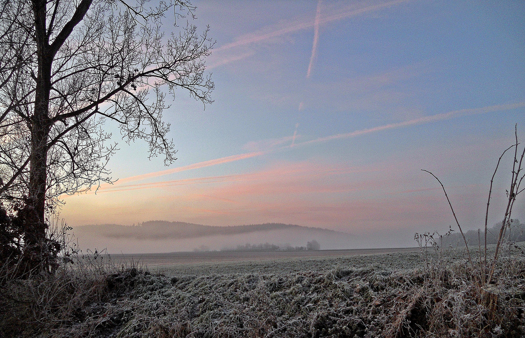 Morgennebel