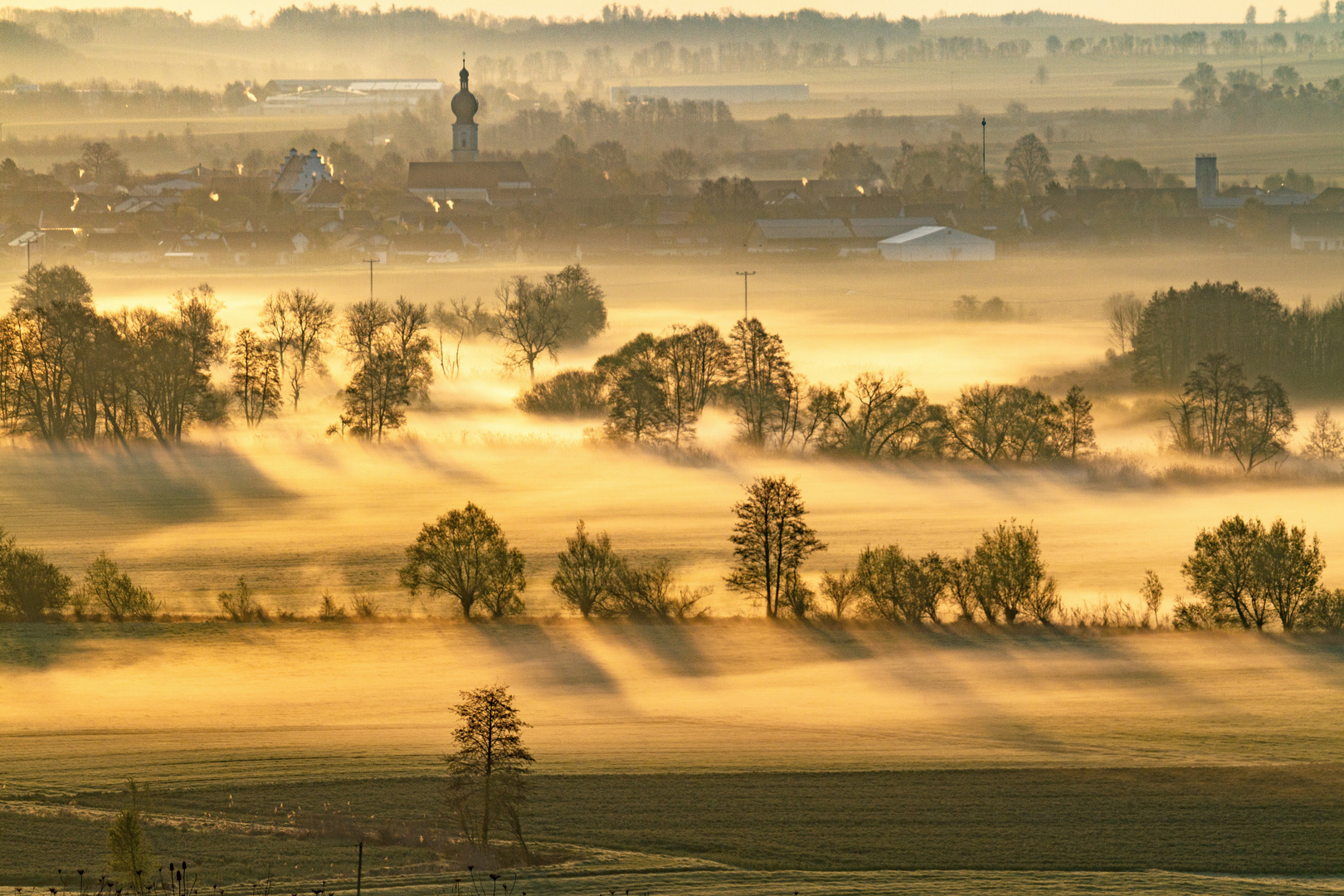 Morgennebel