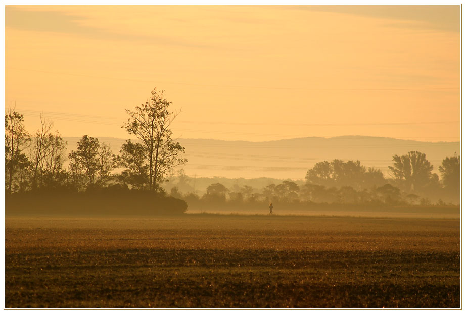 Morgennebel