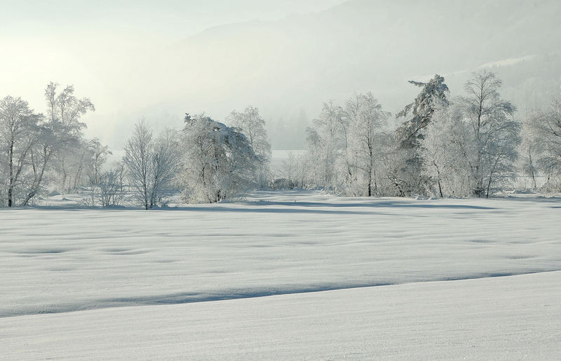 Morgennebel