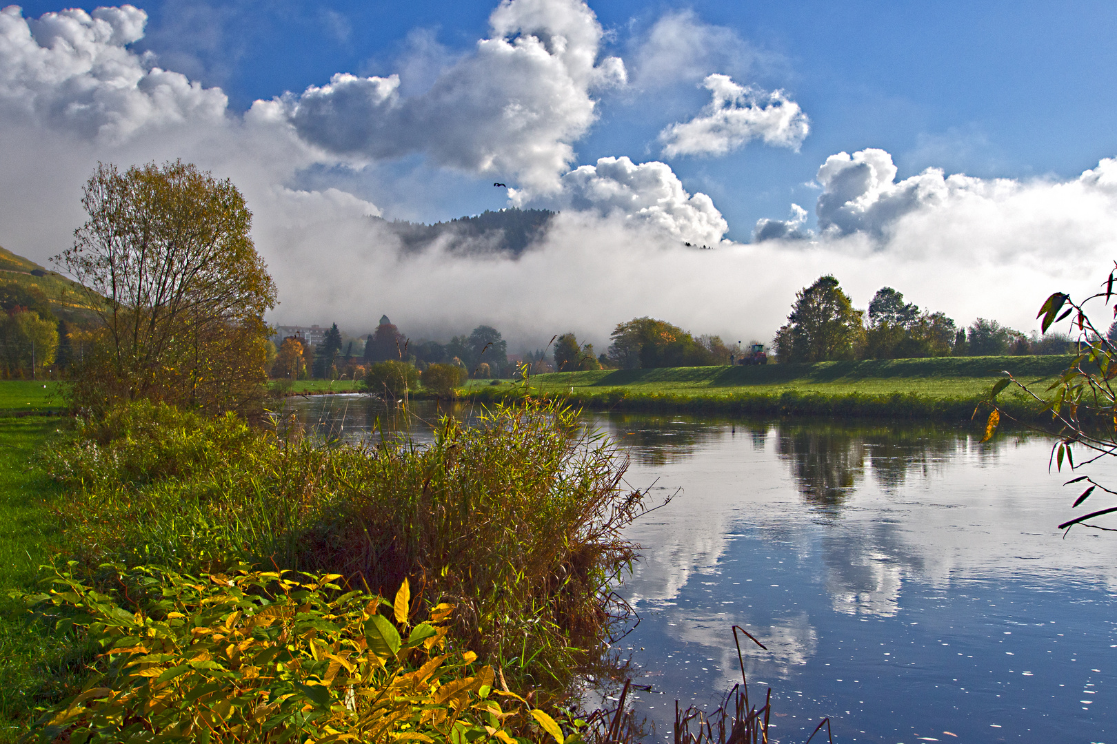 Morgennebel