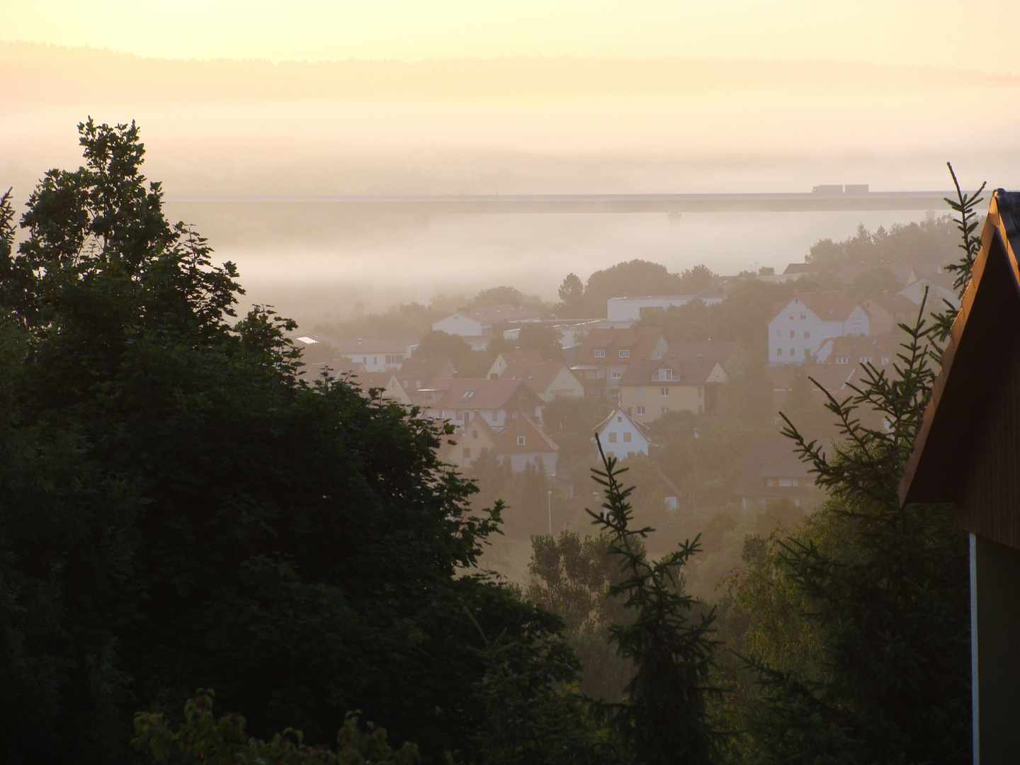 Morgennebel-