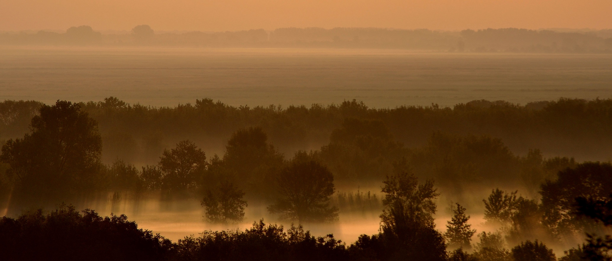 Morgennebel