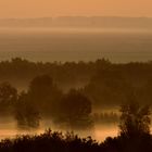 Morgennebel