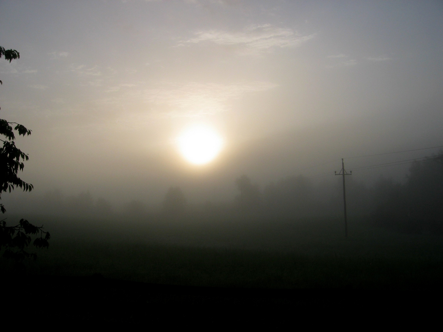 Morgennebel