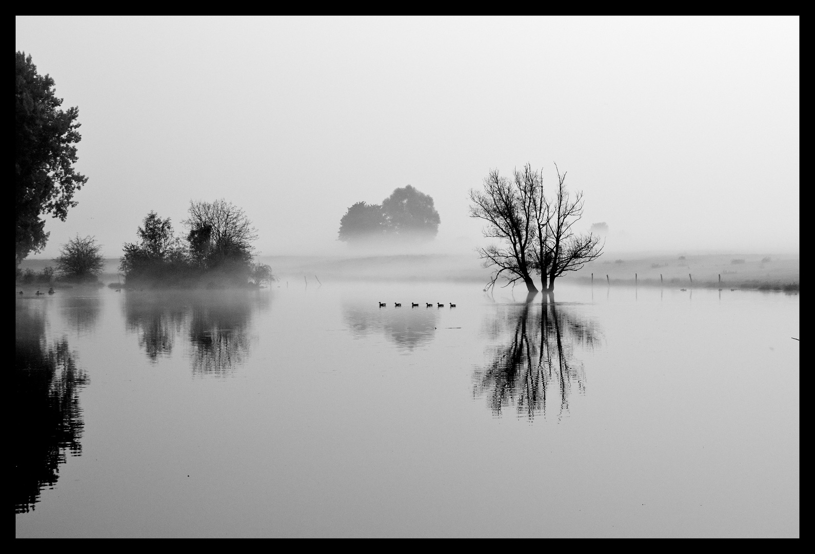 Morgennebel