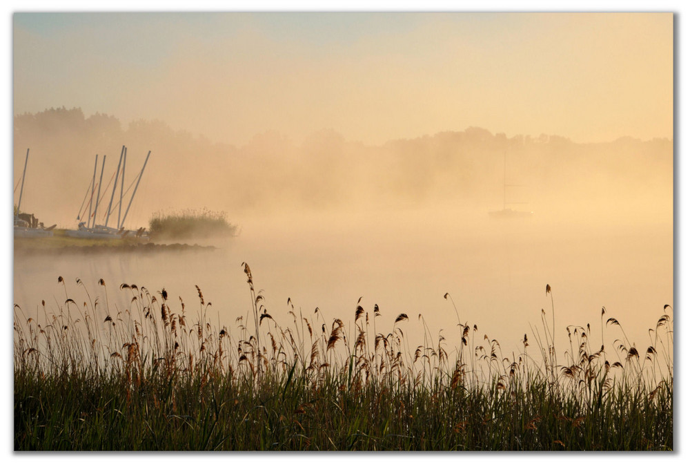 Morgennebel....