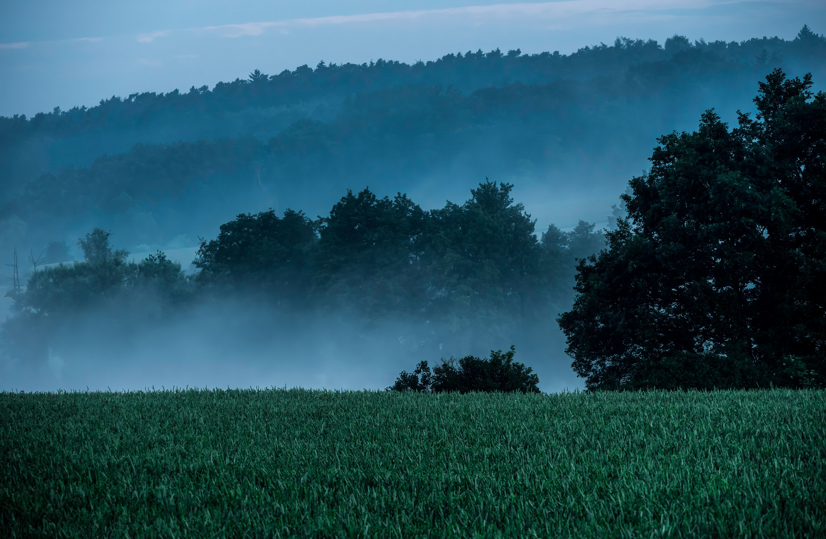 "MORGENNEBEL"