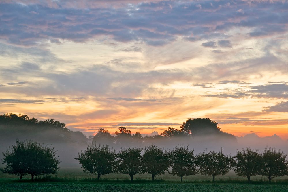 Morgennebel 