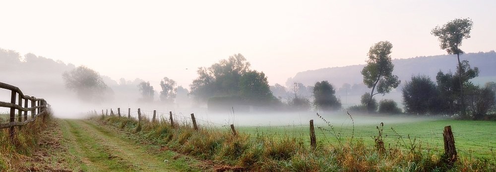 Morgennebel