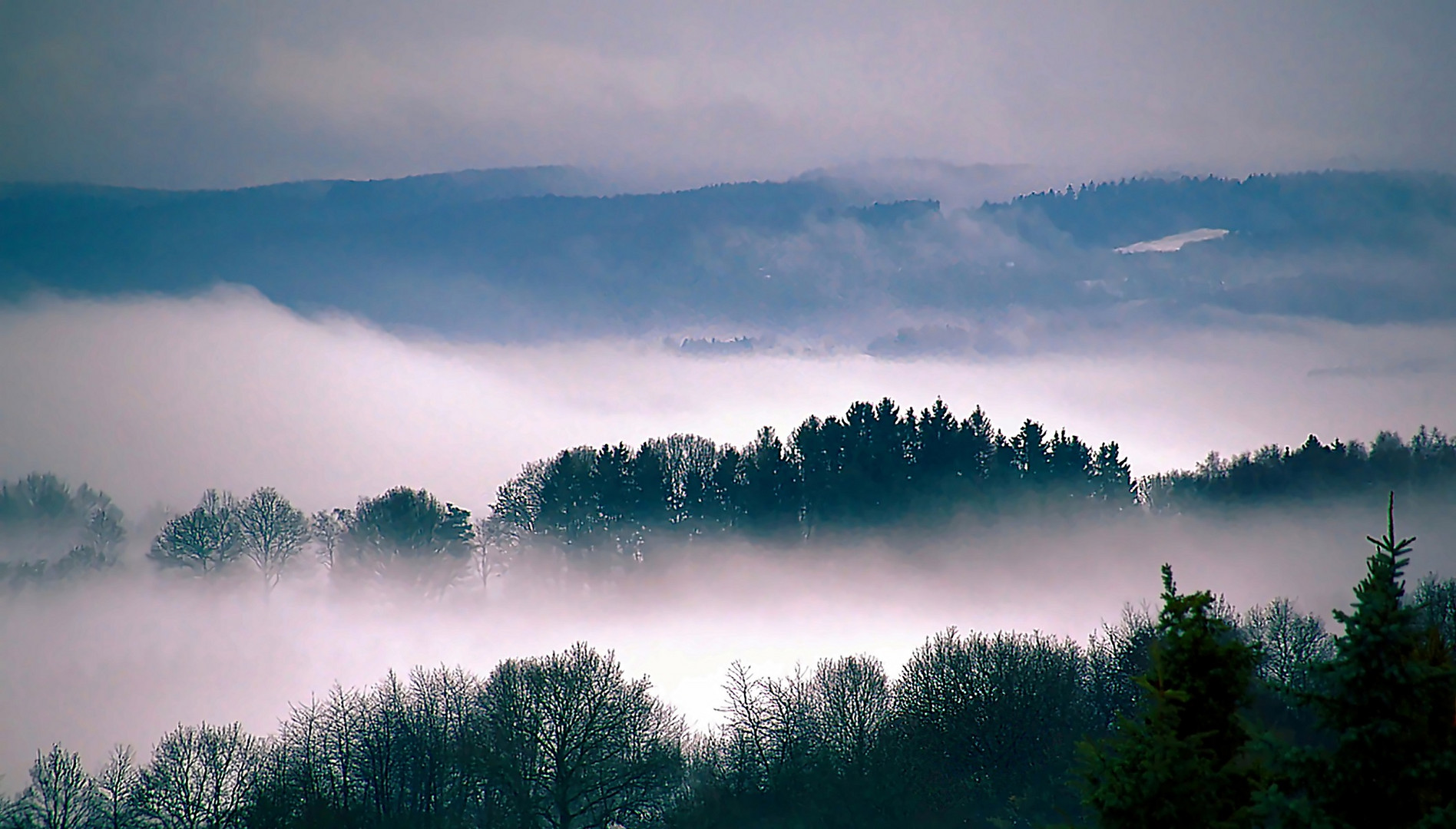 Morgennebel