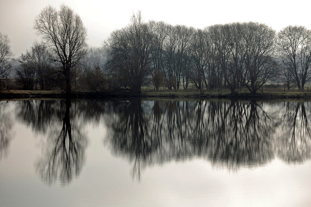 Morgennebel