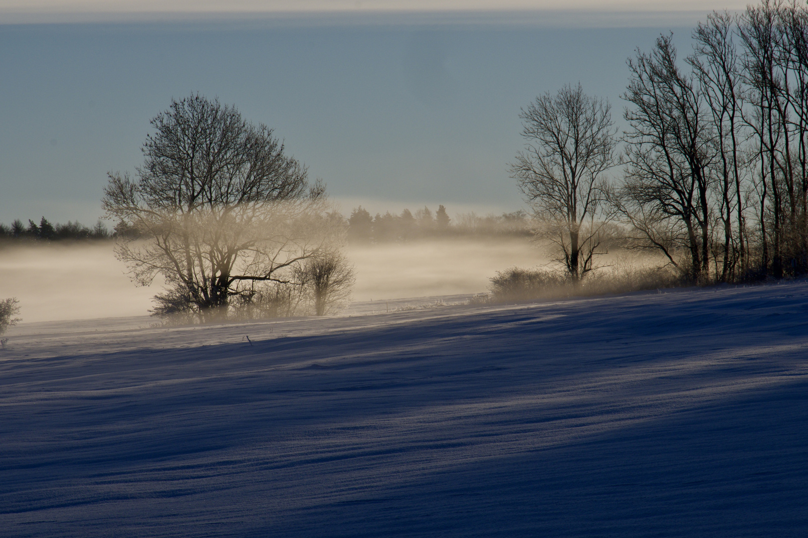 Morgennebel 