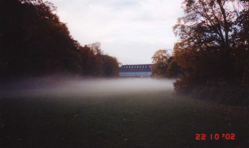 Morgennebel von Maria Gehrmann