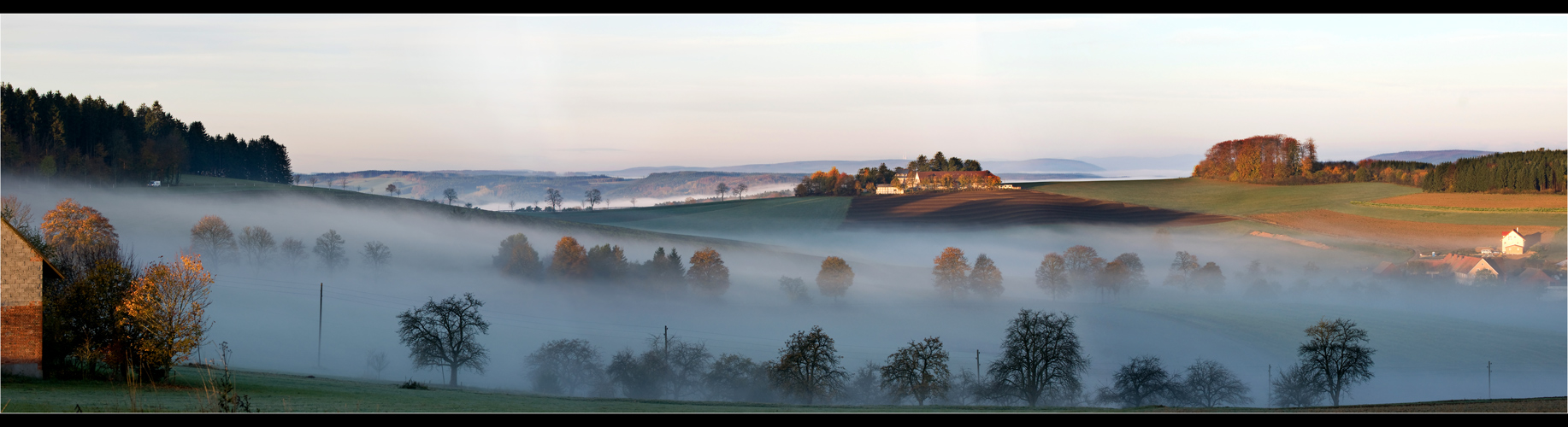 Morgennebel