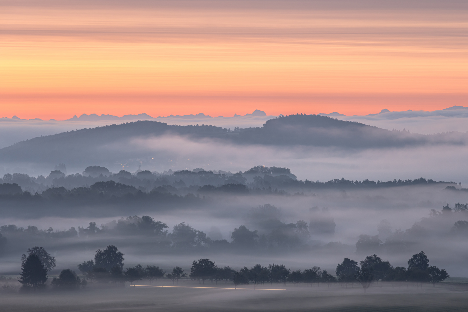 Morgennebel