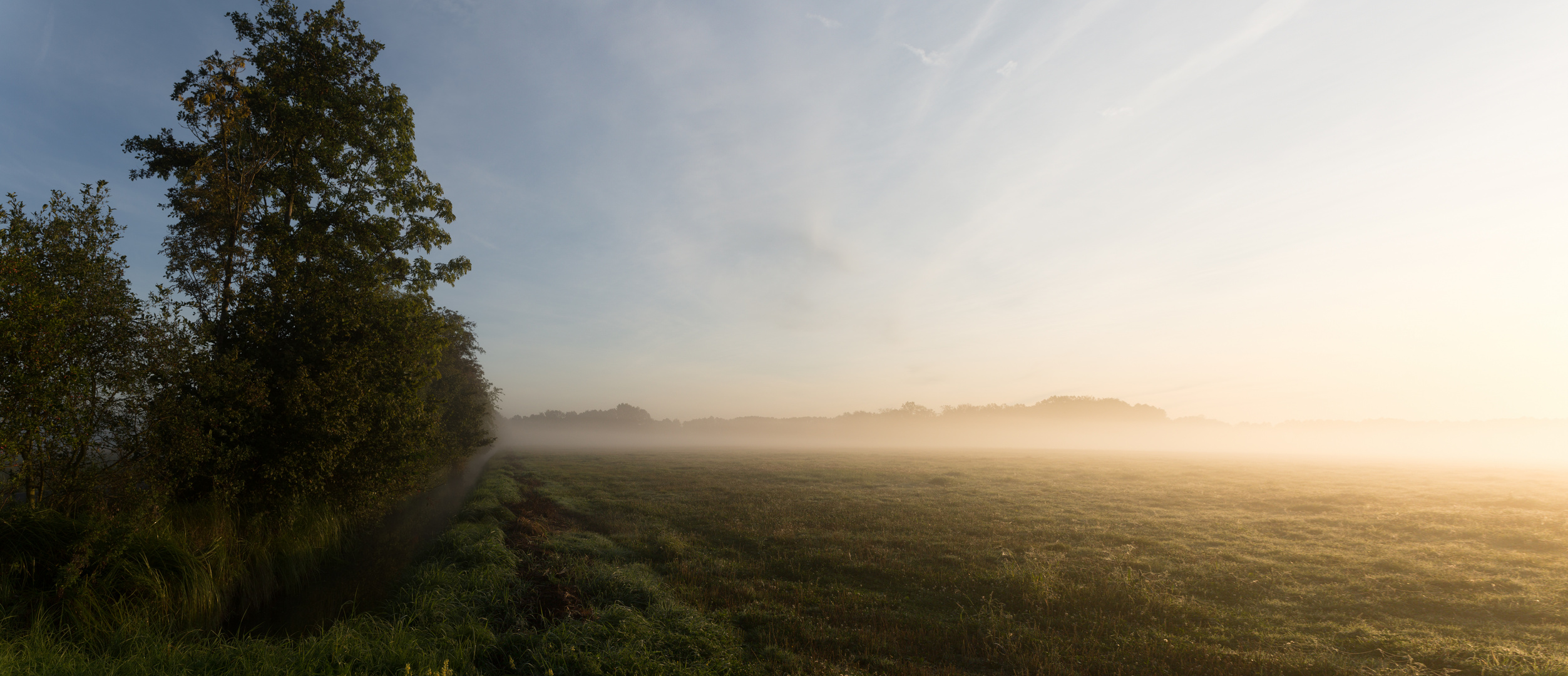 Morgennebel