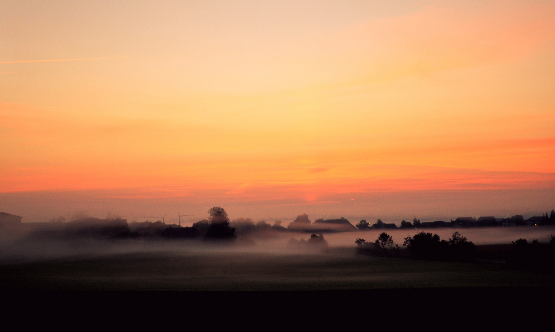 morgennebel