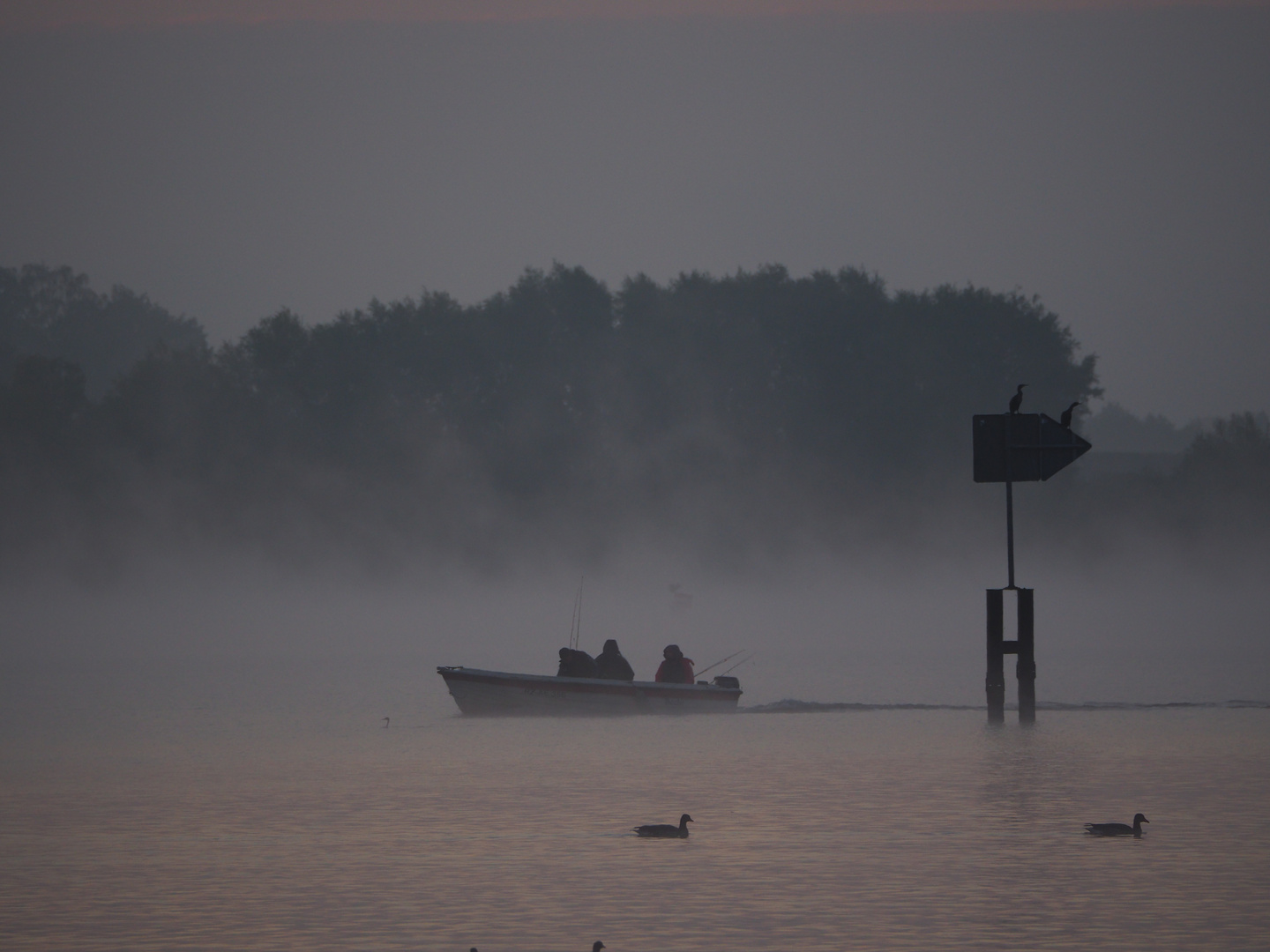 Morgennebel