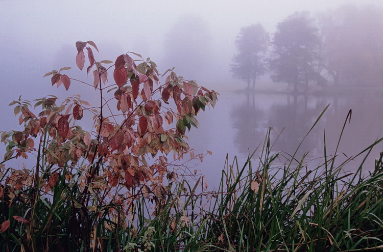 Morgennebel...