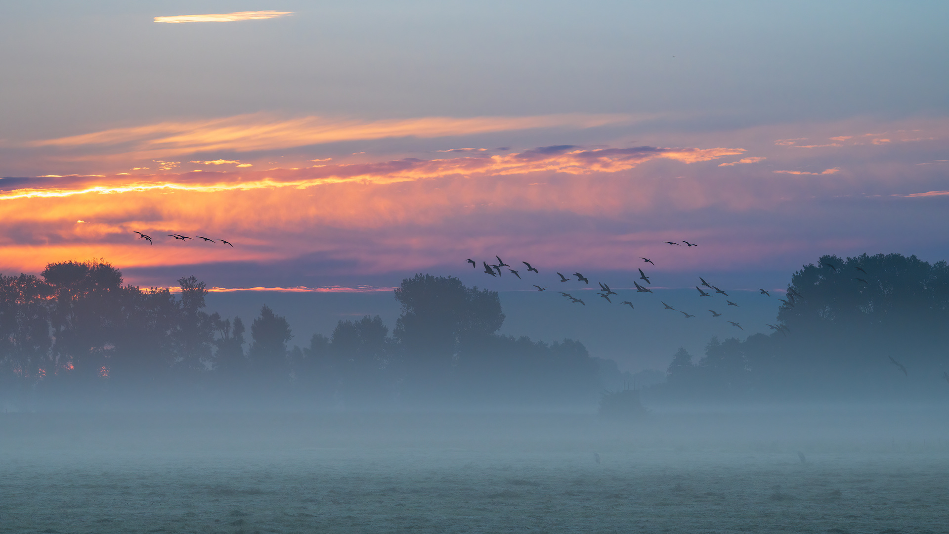 Morgennebel