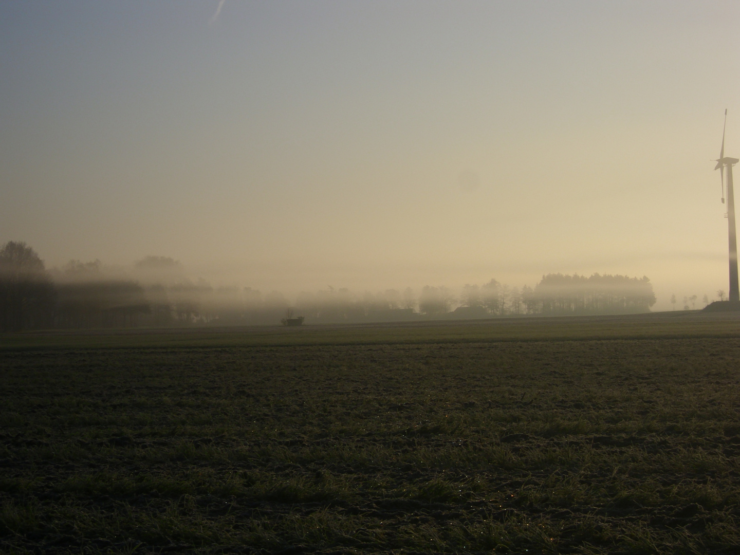 Morgennebel