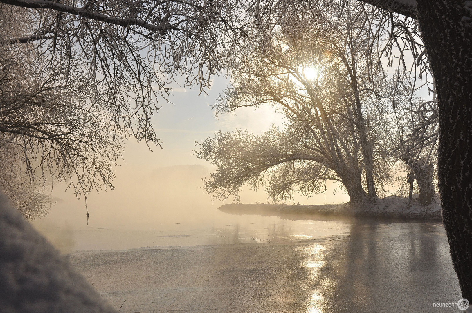 Morgennebel