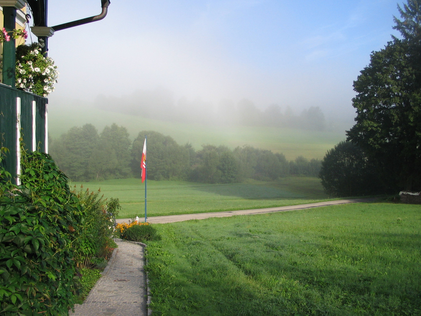 Morgennebel