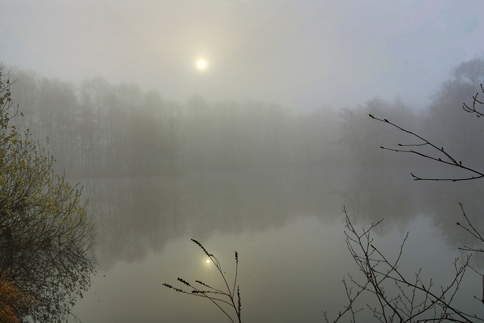 Morgennebel