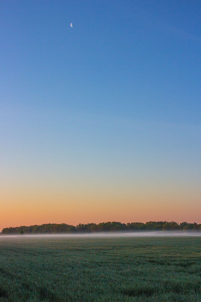 Morgennebel von JanWolf 